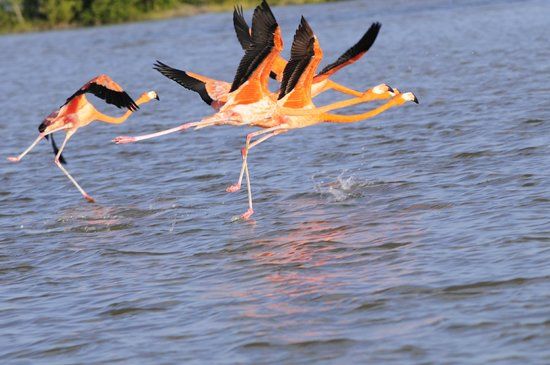 Reserva de la Biosfera Yucatán